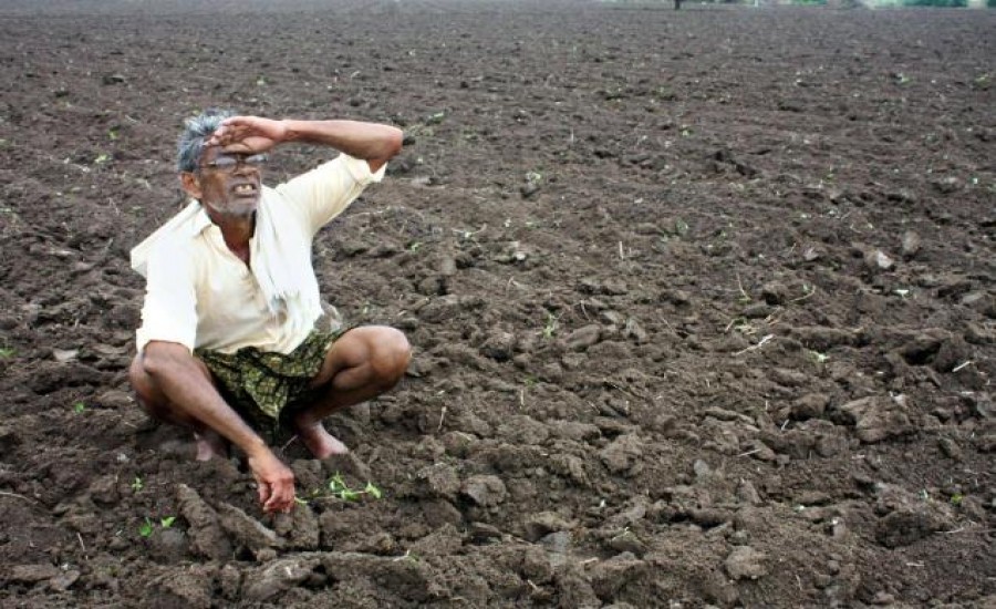 हमीरपुर के दर्जनों ग्रामों में पड़ी सूखे की काली छाया, बोया गया बीज भी नष्ट