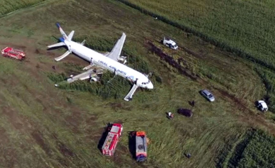 रूस : खेत में विमान की लैंडिग कराके पायलट बना हीरो, बचा ली 233 यात्रियों की जान