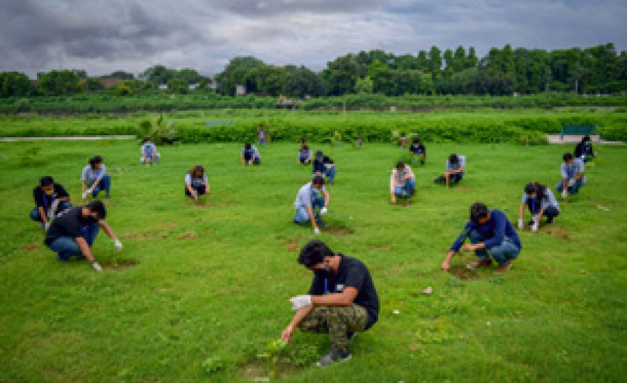 राम मंदिर निर्माण की भूमिपूजन पर स्वयंसेवी संस्था ने गोमती नदी के तट पर रोपे 501 पौधे
