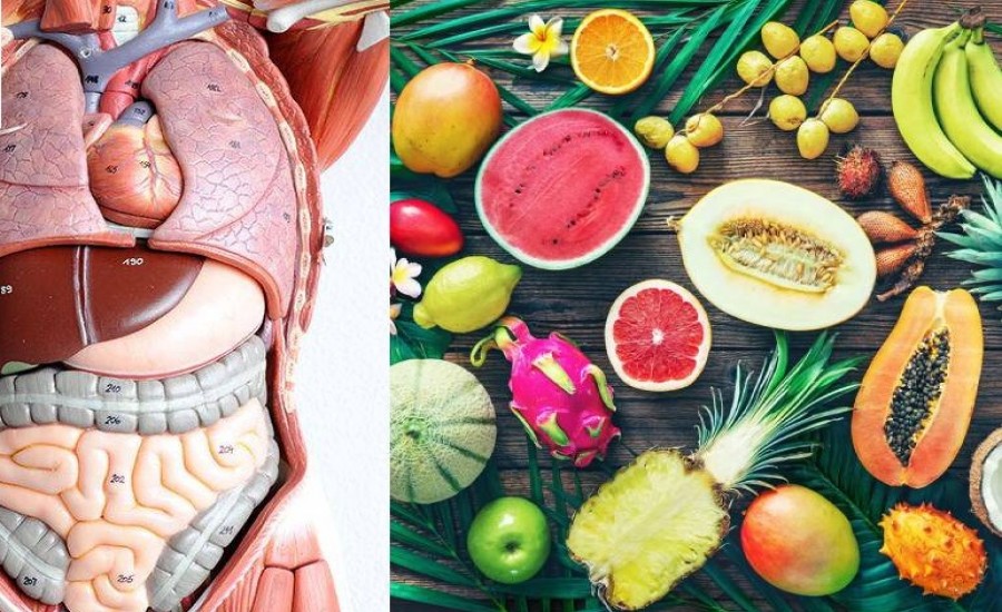 Food for Body Part: शरीर के हर अंग के लिए खाना चाहिए अलग फूड, फायदे देखकर रह जाएंगे दंग