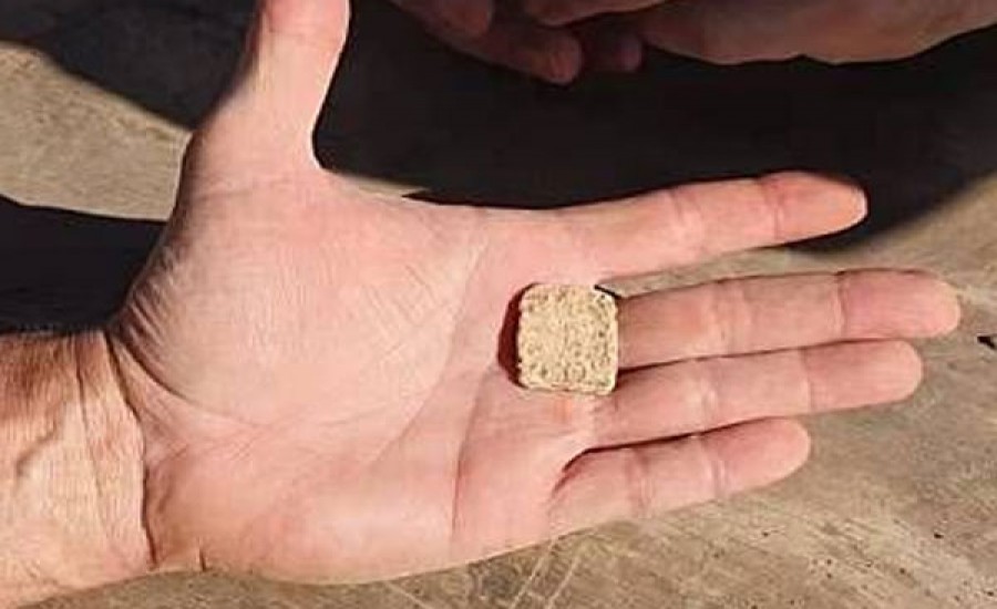 उत्तरी वेस्ट बैंक में खोजा गया 3,300 साल पुराना ताबीज