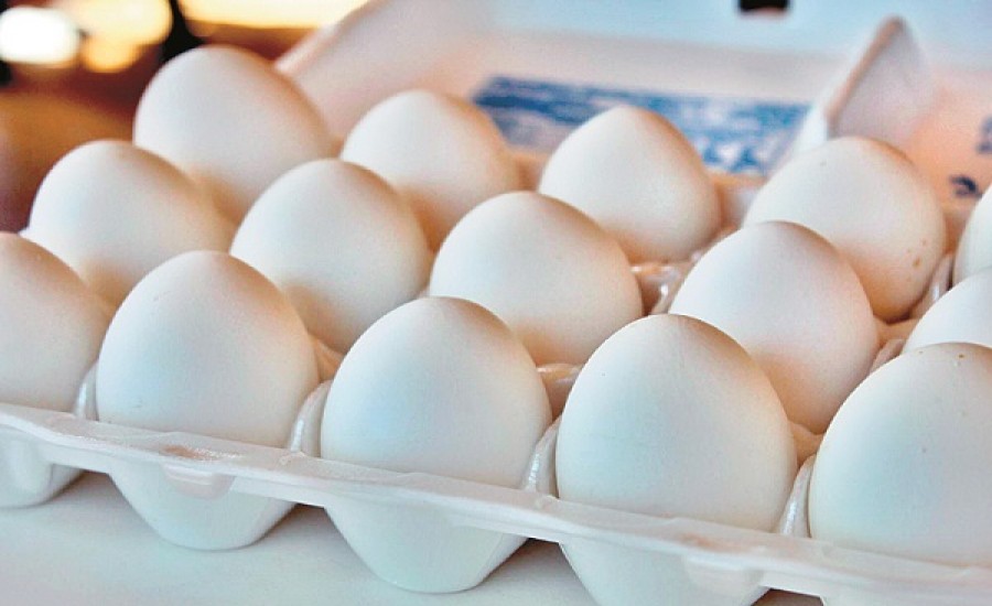 जानिए बाजार में मिलने वाले असली और नकली अंडे की कैसे करें पहचान