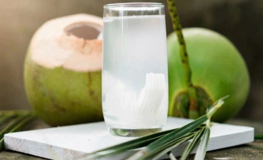 Coconut Water Benefits: कोरोना के बढ़ते मामलों के बीच तेजी से बढ़ी नारियल पानी की मांग, जानें फायदे