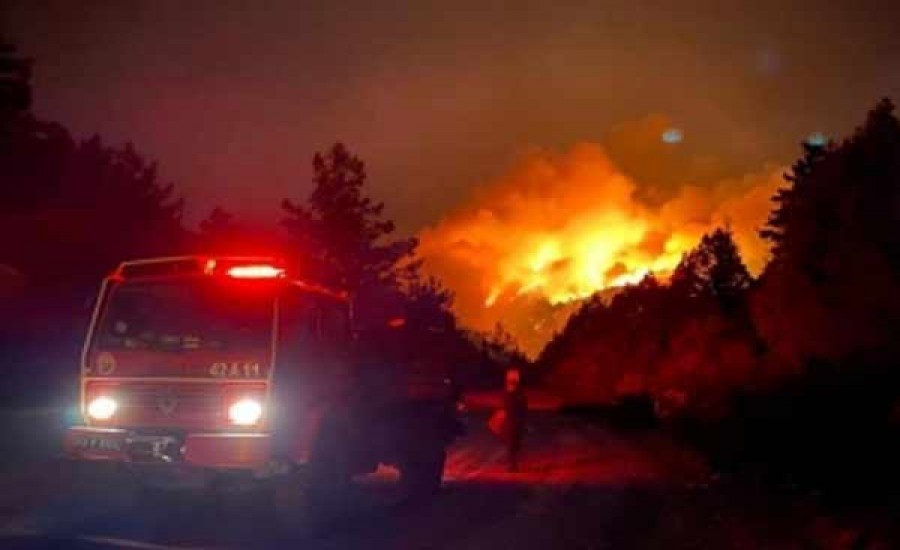 तुर्की ने आग के कारण 2 प्रांतों में जंगल में प्रवेश पर प्रतिबंध लगाया