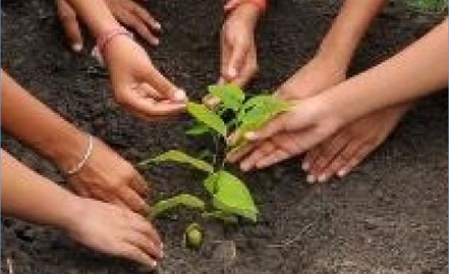 यूपी में आजादी महोत्सव के तहत पौधरोपण अभियान शुरू
